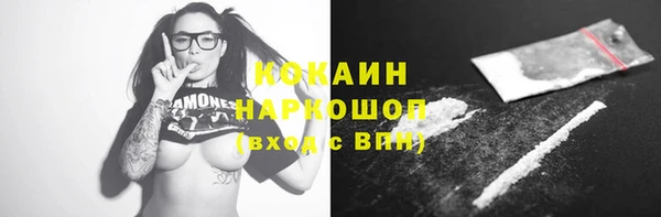 spice Козельск