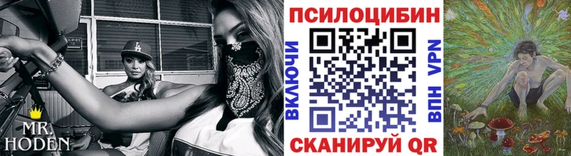 kraken зеркало  площадка Telegram  Галлюциногенные грибы Psilocybe  Краснокамск 